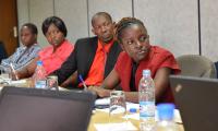 Capacity building of Zimbabwe Human Rights Commission
