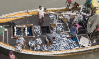 A group of Bangladeshi fishers on a fishing boat 