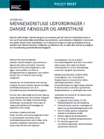 Front page of policy brief menneskeretligeudfordringer i danske fængsler og arresthuse