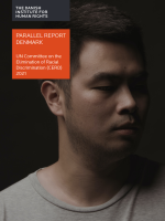 Parallel report Denmark: UN Committee on the Elimination of Racial Discrimination (CERD) 2021