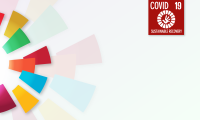 Graphic showing the SDG wheel and a logo stating: COVID-19 and sustainable recovery