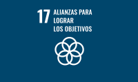 Rectangular Spanish SDG 17