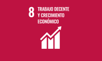Rectangular Spanish SDG 8
