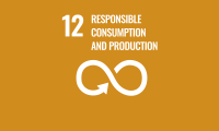 SDG 12 responsible consumption and production