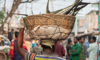 A man carrying fish in a basket on his head