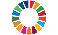 Image of the multi-coloured SDG wheel