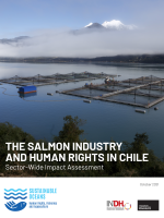 Cover from The Salmon Industry and Human Rights in Chile