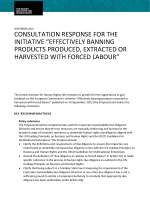 Front of Consultation response for the initiative "Effectively banning products produced, extracted or harvested with forced labour"