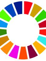 SDG wheel