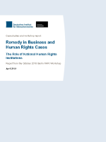 Case studies and workshop report: Remedy in business and human rights cases