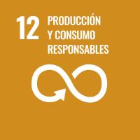 Rectangular Spanish SDG 12
