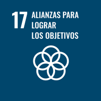 Rectangular Spanish SDG 17